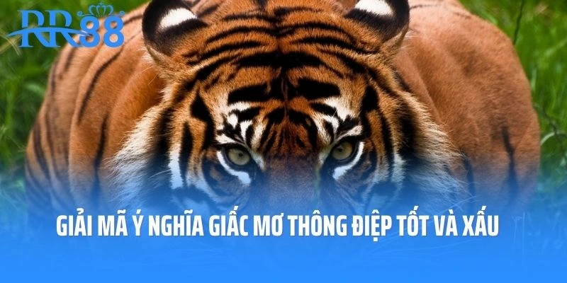 Giải mã ý nghĩa của các giấc mơ mang thông điệp tốt và xấu