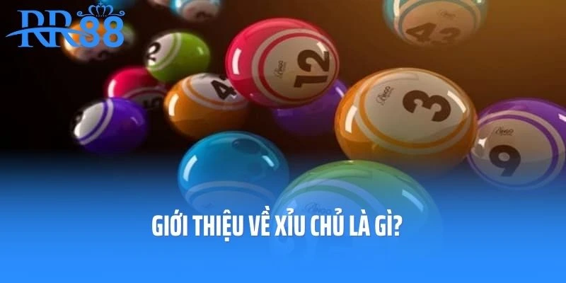 Giới thiệu về xỉu chủ là gì?
